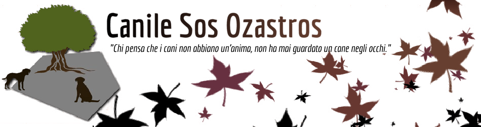 Logo di Canile Sos Ozastros s.r.l.